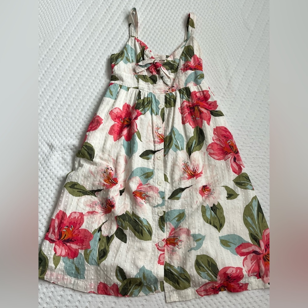 Beautiful Floral A-Line Dress from Loft